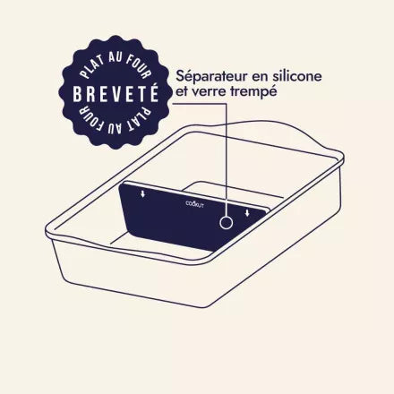 L'INCROYABLE PLAT AU FOUR COOKUT
